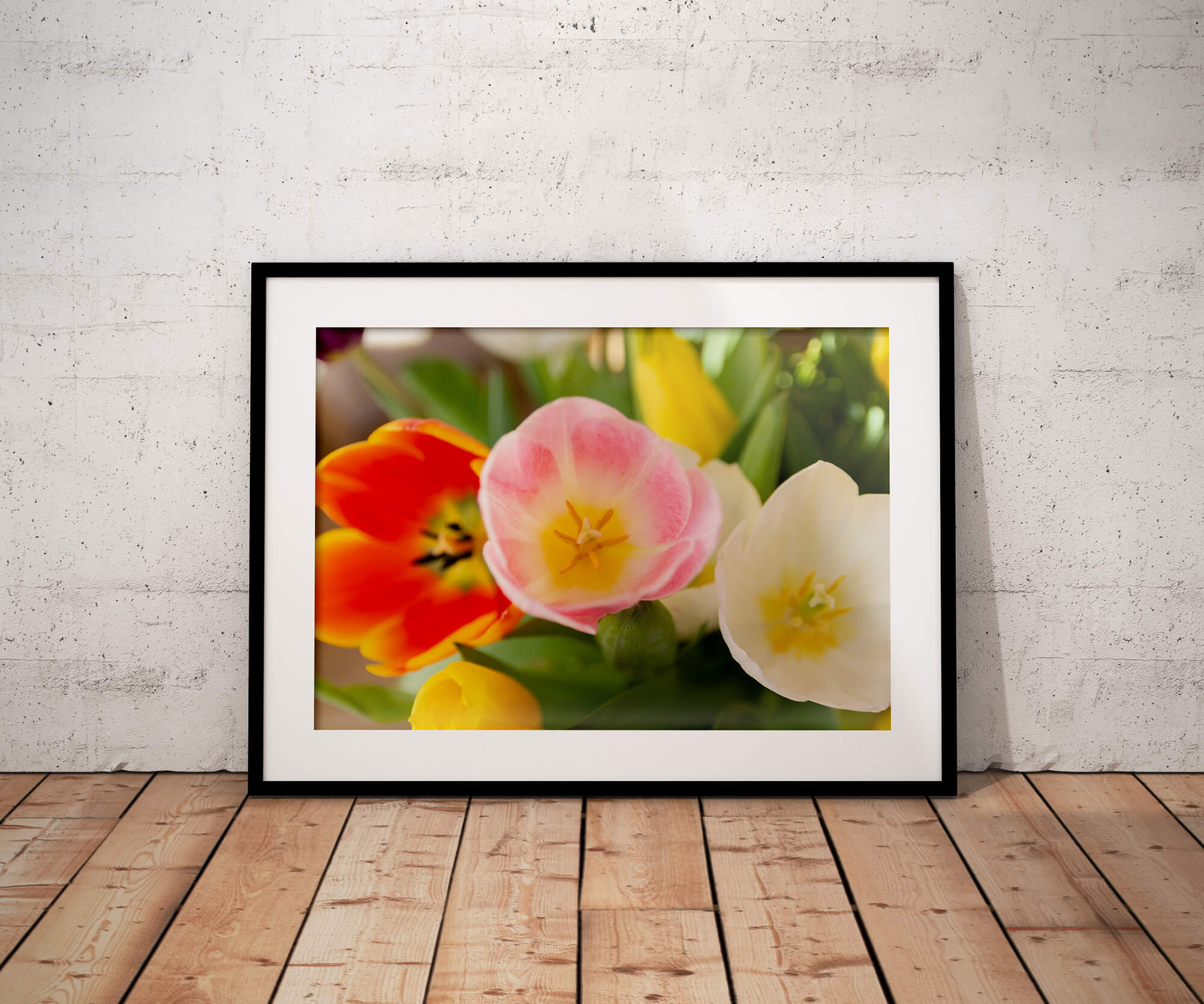 Meerkleurige Tulpen - Image 4