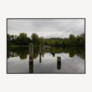Reflections - Natuur Poster en Canvas Print