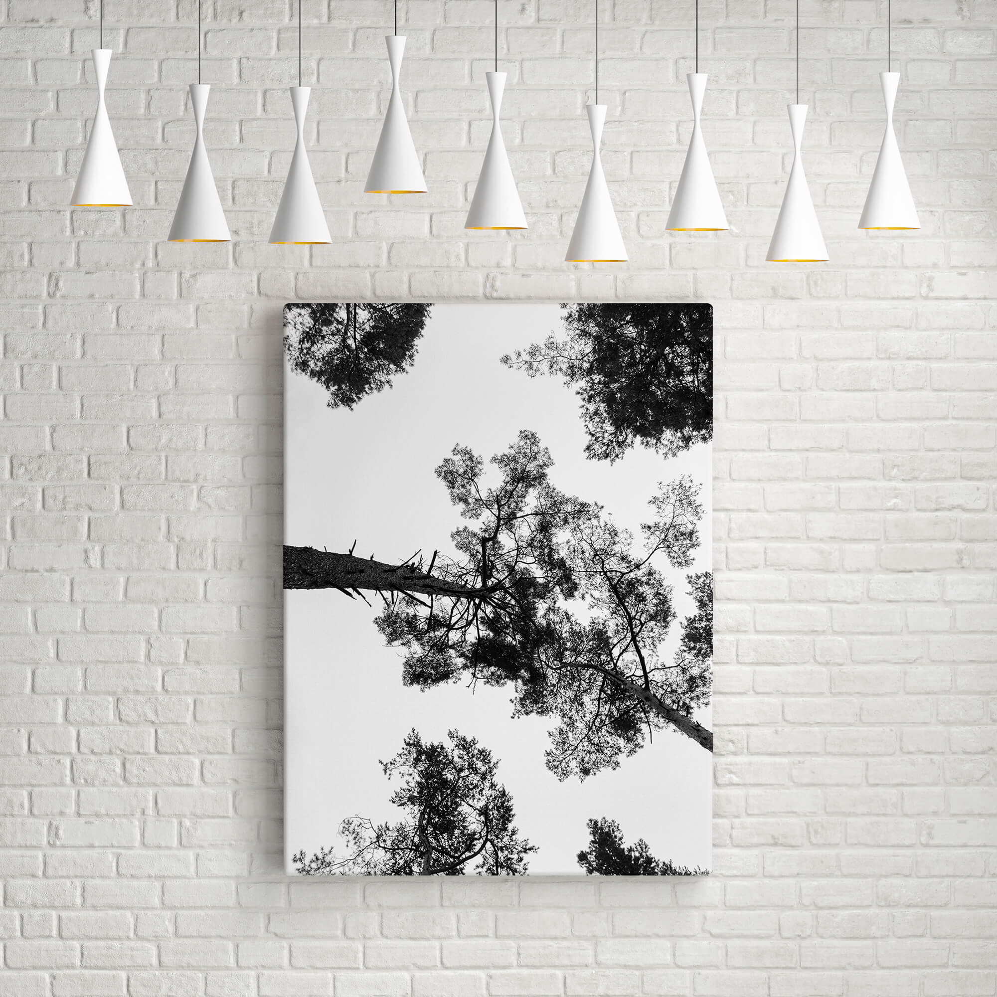 Black & White Trees - Image 4